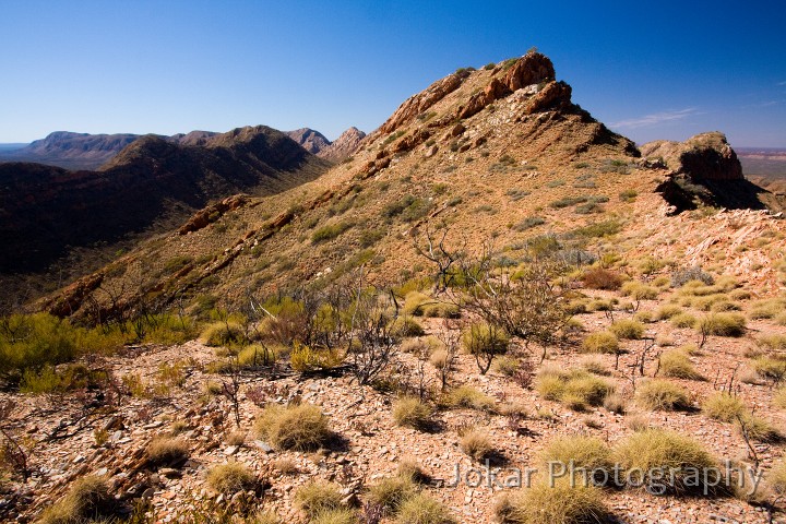 Larapinta_20080612_529 copy.jpg - Reveal Saddle, coming down off Brinkley Bluff